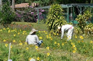 Full time gardeners