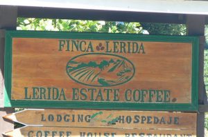 Finca-Lerida Coffee Estate