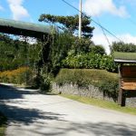 Entrance to the Lerida-Finca coffee plantation