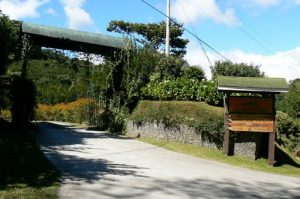 Entrance to the Lerida-Finca coffee plantation