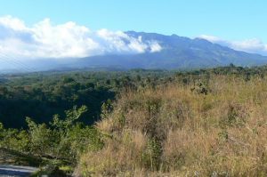 View of the mountains from Momentum B&B