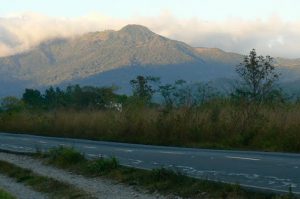 On the road to the city of David, south of