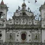Bird life around Iglesia los Dolores