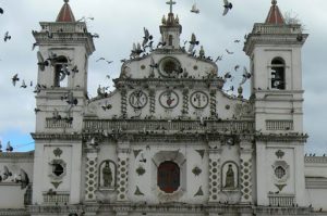 Bird life around Iglesia los Dolores