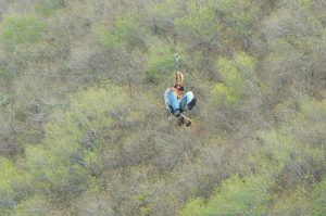 Cable ride from the hill