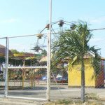 Along the Malecon promenade