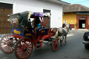 Tourist transport