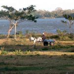 Local farmer on Lake Nicaragua