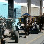 Hauling carts and horses waiting for business