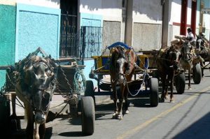 Hauling carts and horses waiting for business