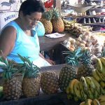 Fruit vendor