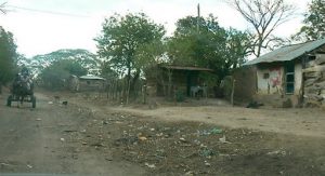 A typical rural road, house and cart