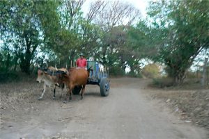 Local transport