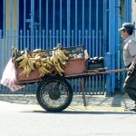 Local fruit vendor