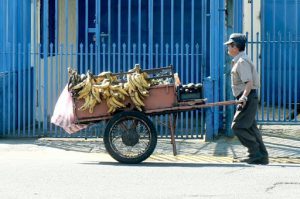 Local fruit vendor