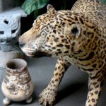 National Museum of Costa Rica
