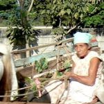 Speeding past the airport