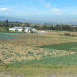 Farm lands on the way to Lake Atitlan