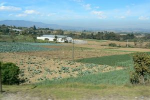 Farm lands on the way to Lake Atitlan