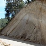 Earthcut reveals the sedementary layers of the ground