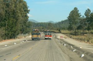 Some bus drivers drive like cowboys, fast and risky