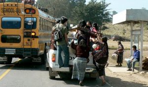 Pick-up trucks also carry locals