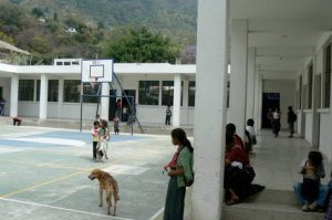 Schoolyard