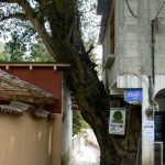Narrow walkway to the ferry landing