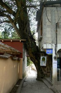 Narrow walkway to the ferry landing