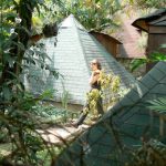 Piramides Meditation Center