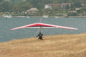 Gliders from Australia