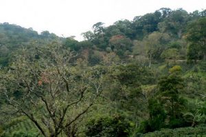 On the way to Monteverde over the hills and mountains