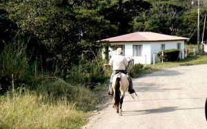 Cowboy on the way to Monteverde