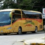 Many buses offer service to Monteverde