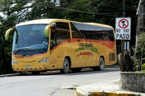 Many buses offer service to Monteverde