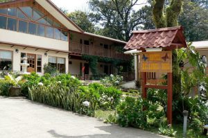 One of many hotels in Monteverde