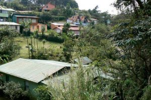 Local houses, some for rent, some are homes for locals