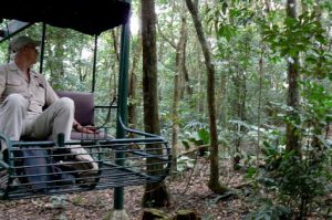 Rail car ride through the forest