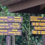 Trek to the foot of the volcano though a forest