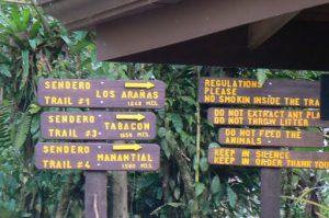 Trek to the foot of the volcano though a forest