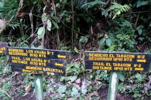 Trail signs