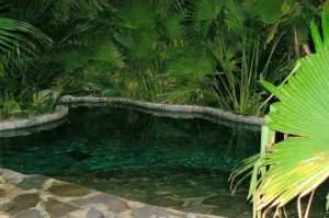 Pools are different temperatures  and surrounded with native flora