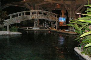 This pool has a snack bar; patrons can stand in