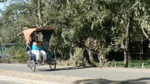 Pedicycle with a heavy load