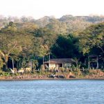 Homes along the lake
