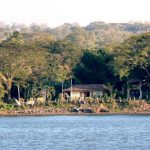 Homes along the lake