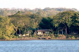 Homes along the lake