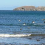 Along Coco Beach on the Gulf of Papagayo