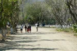 Walk along the beach road