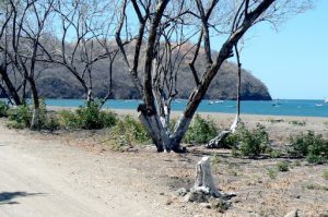 View from the beach road